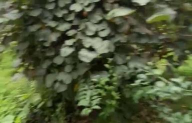 فروش زمین چهار دیواری باسند تک برگ خوشنام