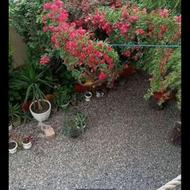 ویلا با موقعیت مکانی عالی