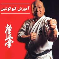 فروش پکیج کامل آموزش کاراته