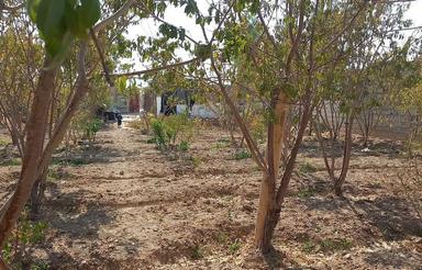 زمینی در خیابان گل مینا