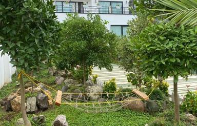 فروش ویلا استخردار 600 متری.هچیرود