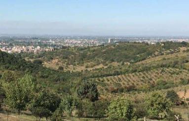 فروش زمین مسکونی 590 متری در آهی دشت