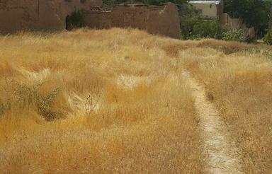 630 متر زمین مسکونی با چشم انداز بسیار زیبا