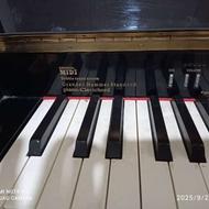 پیانو رولند fp10plus