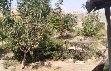 اجاره سالون