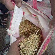 اسفند برای چشم نزر