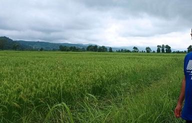 بجار شالیزار معاوضه با خونه رشت