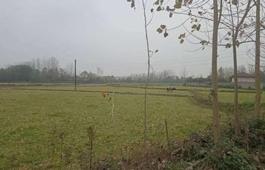 فروش زمین کشاورزی 15000 متر در مرکز شهر