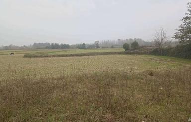 فروش زمین کشاورزی 17000 متر در مرکز شهر