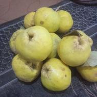 میوه به یکجا نزدیک بیست و پنج کیلو دارم از نوع درجه یک میوه