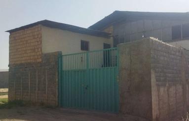 سوله فروشی.