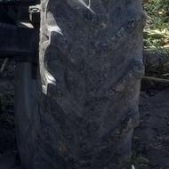 تایر تراکتور 399