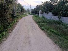 فروش باغ پرتقال 1400 متر در زنگیشاه محله در شیپور