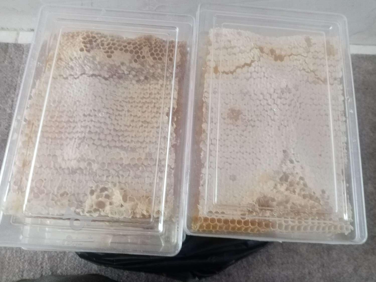 عسل تازه وطبیعی