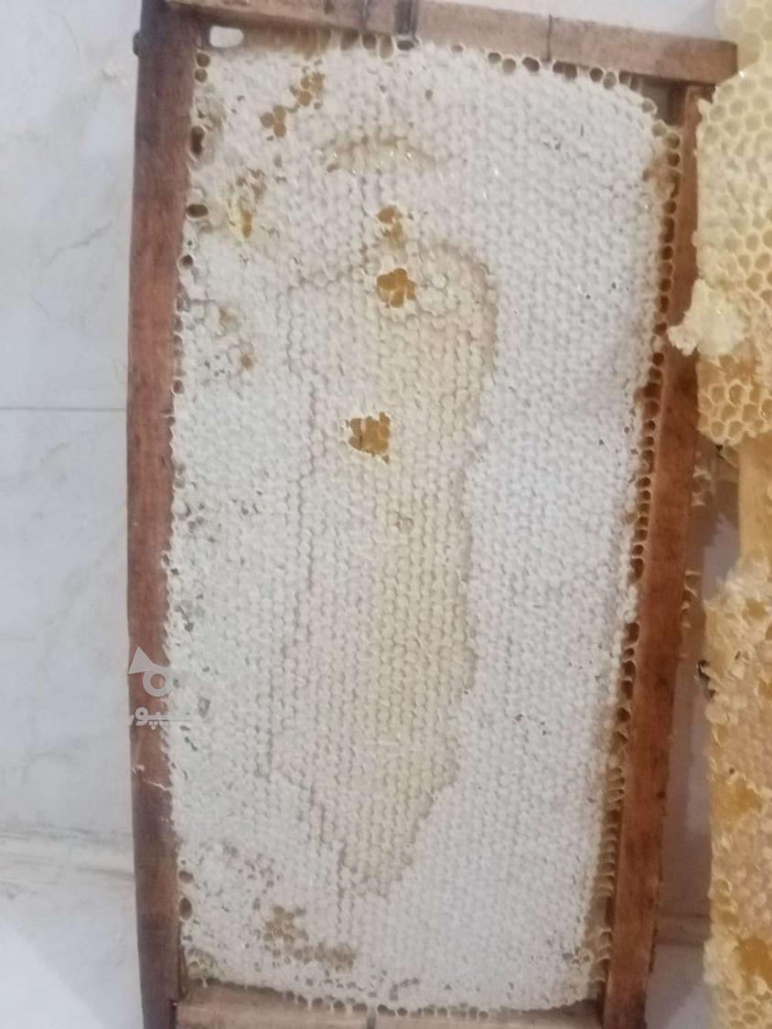 عسل تازه وطبیعی