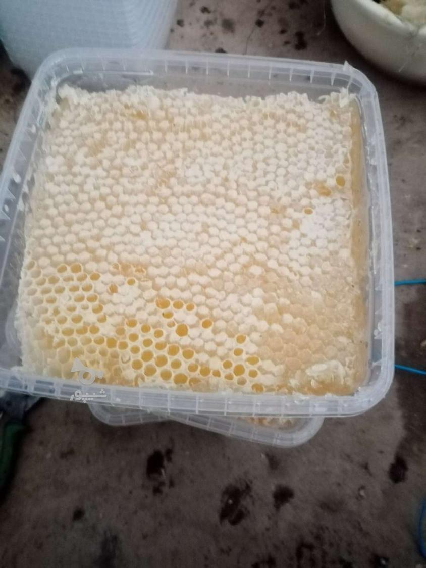 عسل تازه وطبیعی