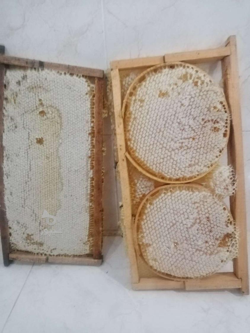 عسل تازه وطبیعی