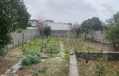 303متر زمین مسکونی در کفشگر کلا