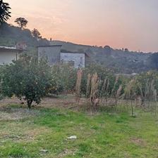 فروش زمین مسکونی 300 متر در کلیجان رستاق