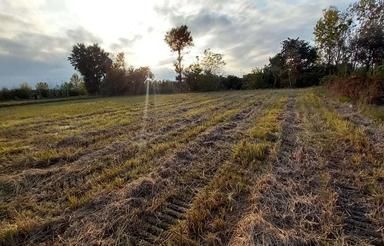 1700 متر زمین کشاورزی در کنار رودخانه