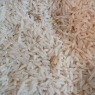 برنج هاشمی گیلان