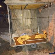 گالری چهار چرخ