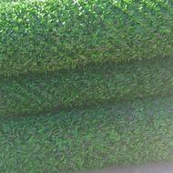 چمن 25میل اسیا