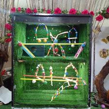 یه قفس عالی برایه پرنده