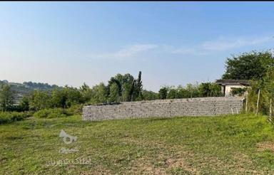 ویوو ابدی در منطقه توریستی