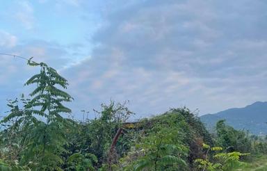 فروش زمین مسکونی 1100 متر درروستا سرکله