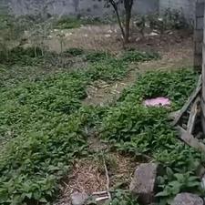 فروش زمین مسکونی 305 متر در کوچک محله