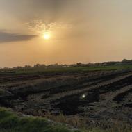 2600واقع درروستای طوله کلاه