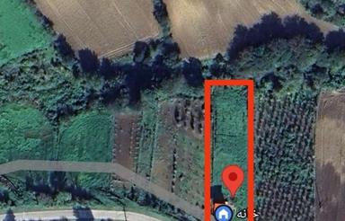 زمین باغ سیاه ریشه از 500 متر تا 1500 متر