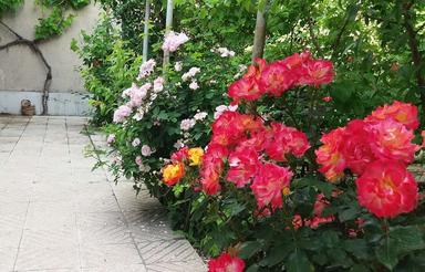 معاوضه و فروش 420متر خانه ویلایی