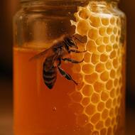 عسل چند گیاه گونه