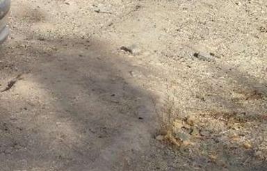 120 متر زمین خارج بافت منزل آباد