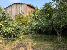 فروش زمین مسکونی 150 متر در مرکز شهر در شیپور