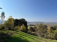 زمین منطقه مناسب برای گردشگری و ویلا باغ در شیپور