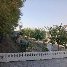 باغ 1160 متری در روستای اسپارت