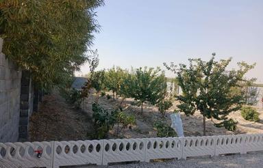 باغ 1160 متری در روستای اسپارت