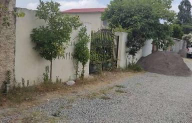 280 متر سند تک برگ