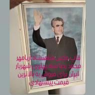 کلکسیون قدیمی عکس شاهنشاه آریامهر