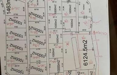 فروش 1000 متر زمین قطعه بندی شده