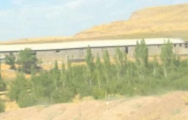 سوله بصورت کاوداری