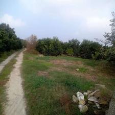 فروش زمین کشاورزی 8000 متر در مرکز شهر