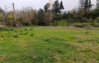 فروش فوری 500 متر زمین داخل بافت ، زیرقیمت منطقه