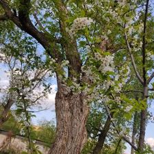 فروش زمین مسکونی 1300 متر در باغ شهر کیلان دماوند