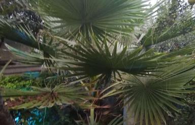 اجاره خانه 95 متر در بلوار مطهری مهدیخیل