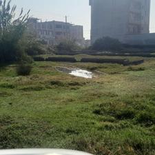 فروش زمین مسکونی دربابلسر