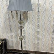 آباژور طوسی ایستاده